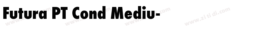 Futura PT Cond Mediu字体转换